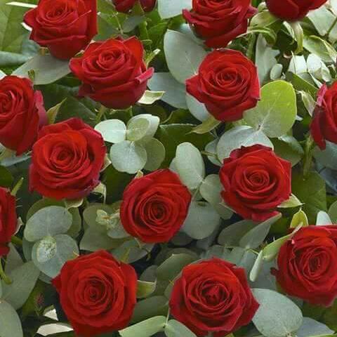 Happy birthday  Mian Nawaz Sharif  president  of Pakistan inshallah  2018 