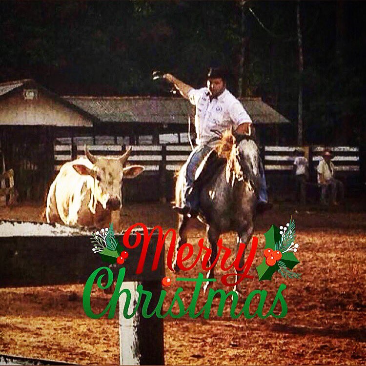 Feliz natal a todos