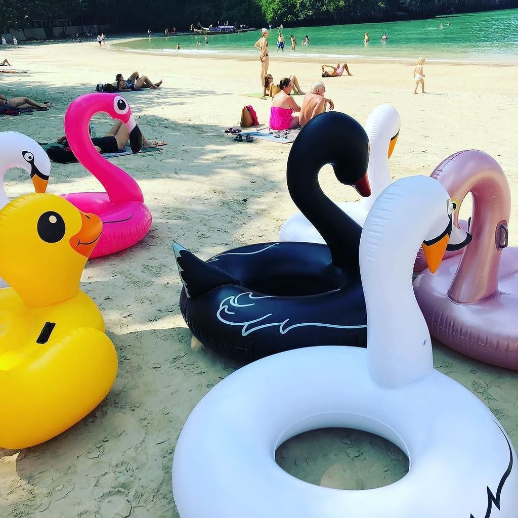 shes_crafty's tweet image. I’m having very un-Christmas thoughts...
.
.
.
.
#railaybeach #thailand #swanfloat #flamingofloat #rubberduck ift.tt/2D52hSz