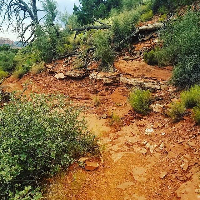 InspiraViagens's tweet photo. Reposting @ashlyn_mistxoxo:
Hiking in Sedona. #arizona #sedona #hiking #hikingadventures #dirt #dirtpath #desert #mountains #mountain #rocks https://t.co/vLdU0hvNxj