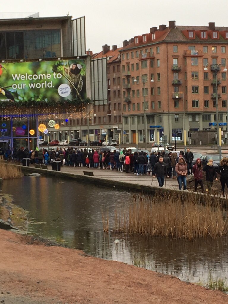 Idag på julafton öppnade vi upp Universeum med fri entré. En liten present och ett sätt att skapa en lite godare jul. Förra året kom det 358 gäster, i år kom det hela 4824. Vi kunde aldrig räkna med ett sådant gensvar. Universeum önskar er alla en riktig God Jul!