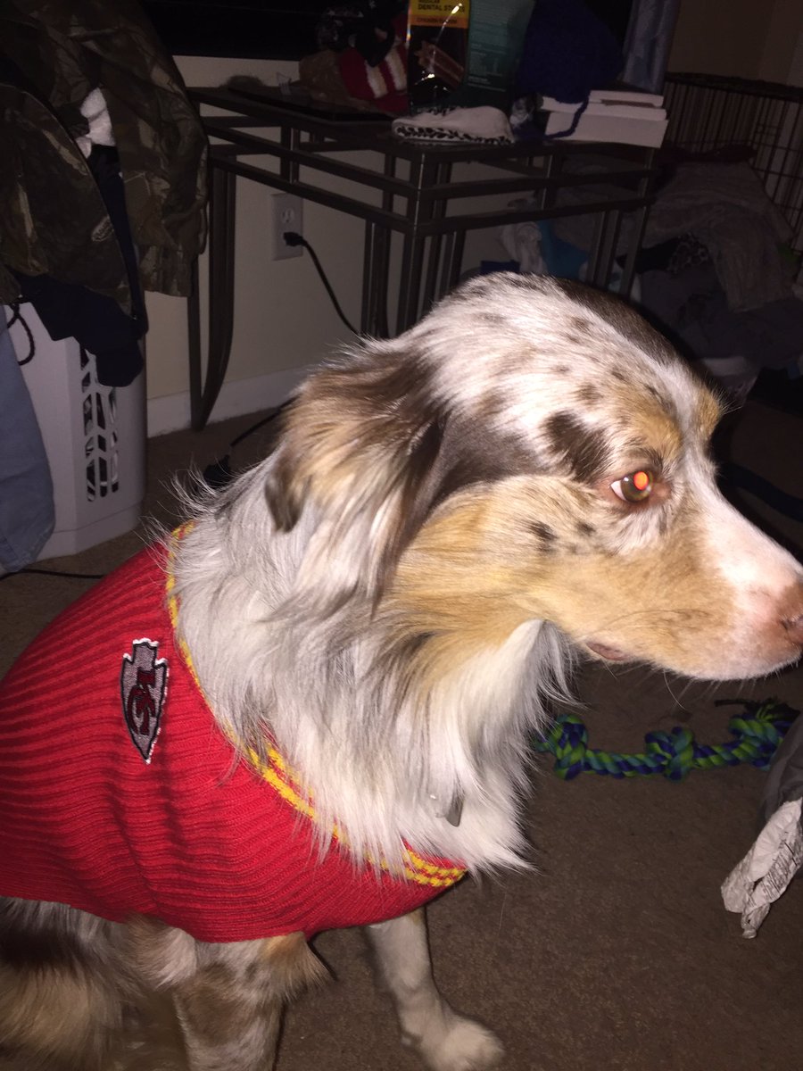 ShalaneDanielle's tweet photo. Merry Chiefs-mas!!! Let's do work boys! @Chiefs #KCvsMiami #ChiefsvsDolphins #ChiefsKingdom https://t.co/xsFUiSoWP8