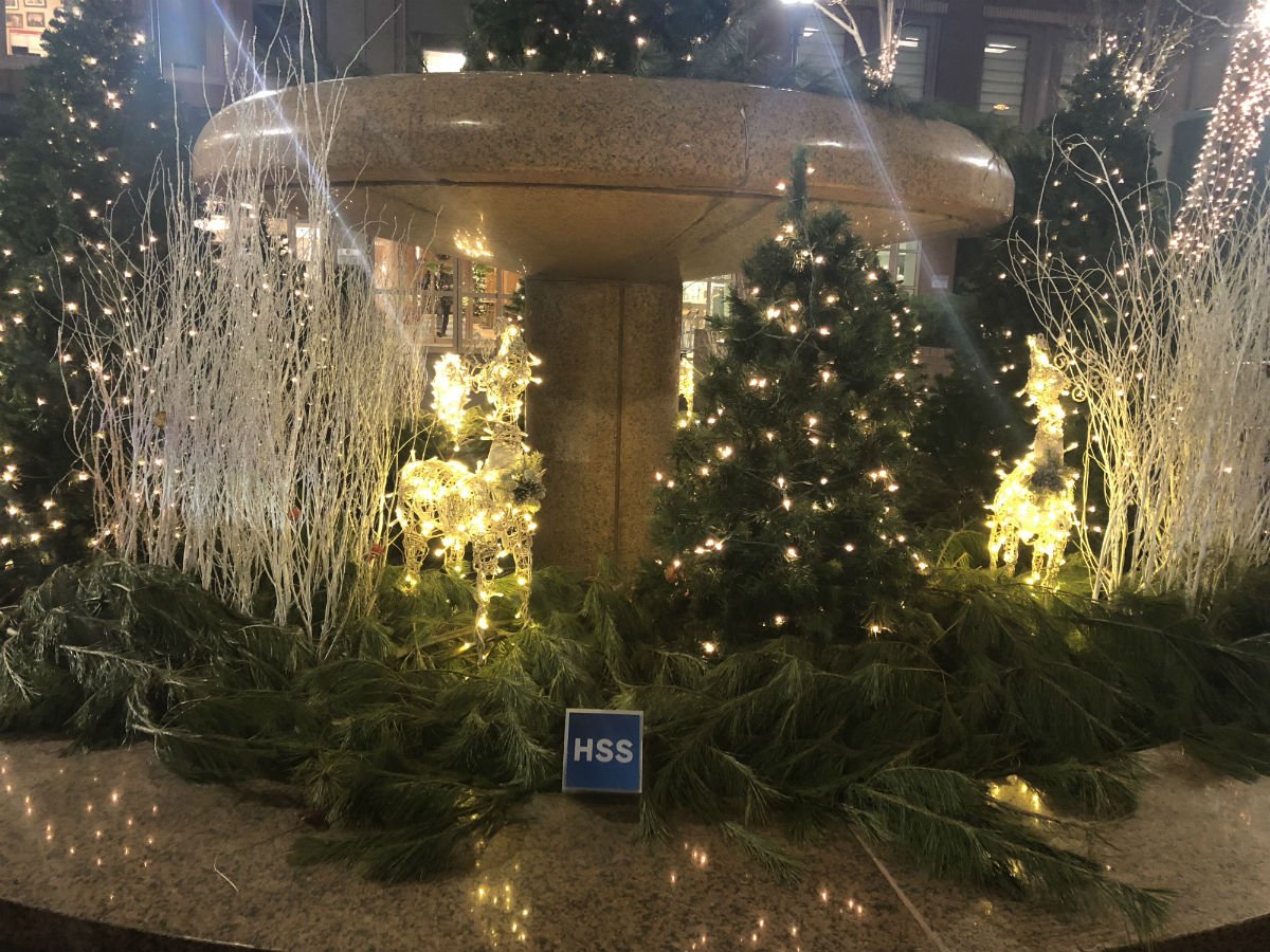 HSpecialSurgery's tweet photo. From all of us at Hospital for Special Surgery, we’d like to wish everyone a wonderful holiday season. #HappyHolidays https://t.co/Lt9EszZBAd