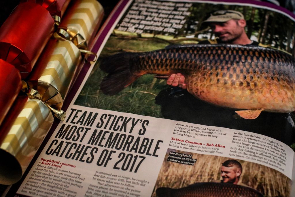 download understanding iraq