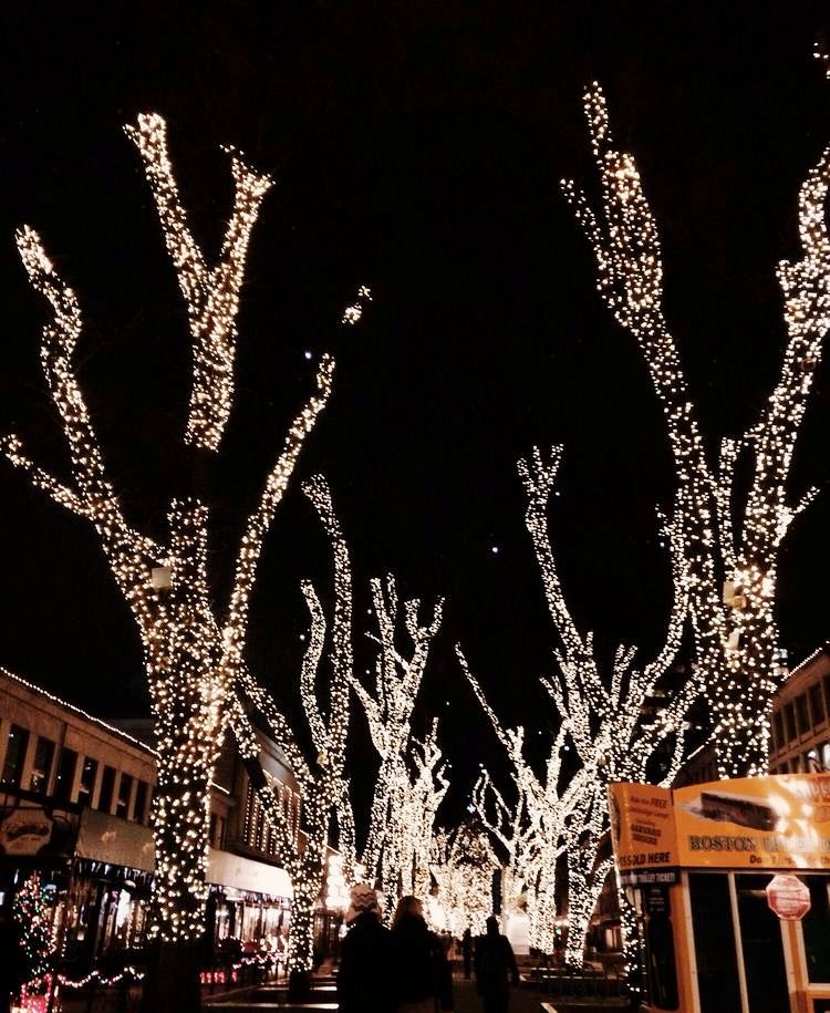 yelpboston's tweet photo. 12 DAYS OF #YELPSHOPSLOCAL - On the 12th day in Boston we walked around the city! Go ice skating &amp; sip on hot cocoa like @Tazachocolate eggnog &amp; gingerbread festive flavors while you spot all the holiday cheer around Boston ✨🎁
📷: Veronica C, Esther L, Joanne H, Yelp https://t.co/Aolc63GSyA