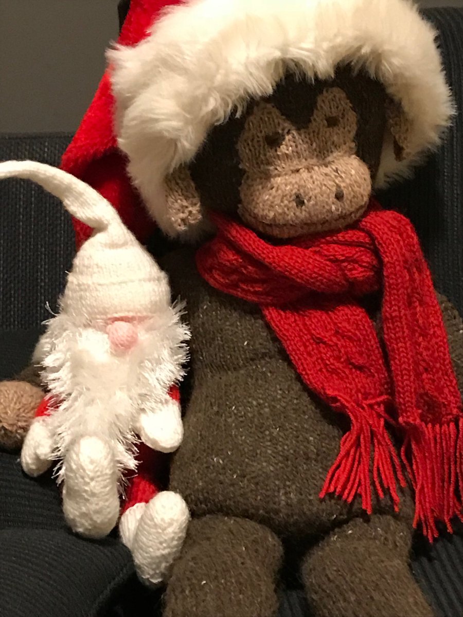 peterrainier's tweet photo. Nearly there! #santamonkey https://t.co/oSmfIk1aJv