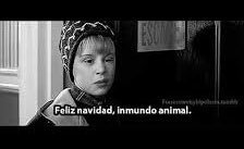 Lauraok___ tweet picture