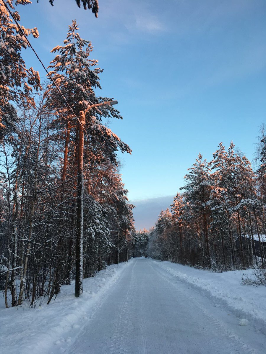 Hyvää ja rauhallista joulua! 🎅🏽🎁