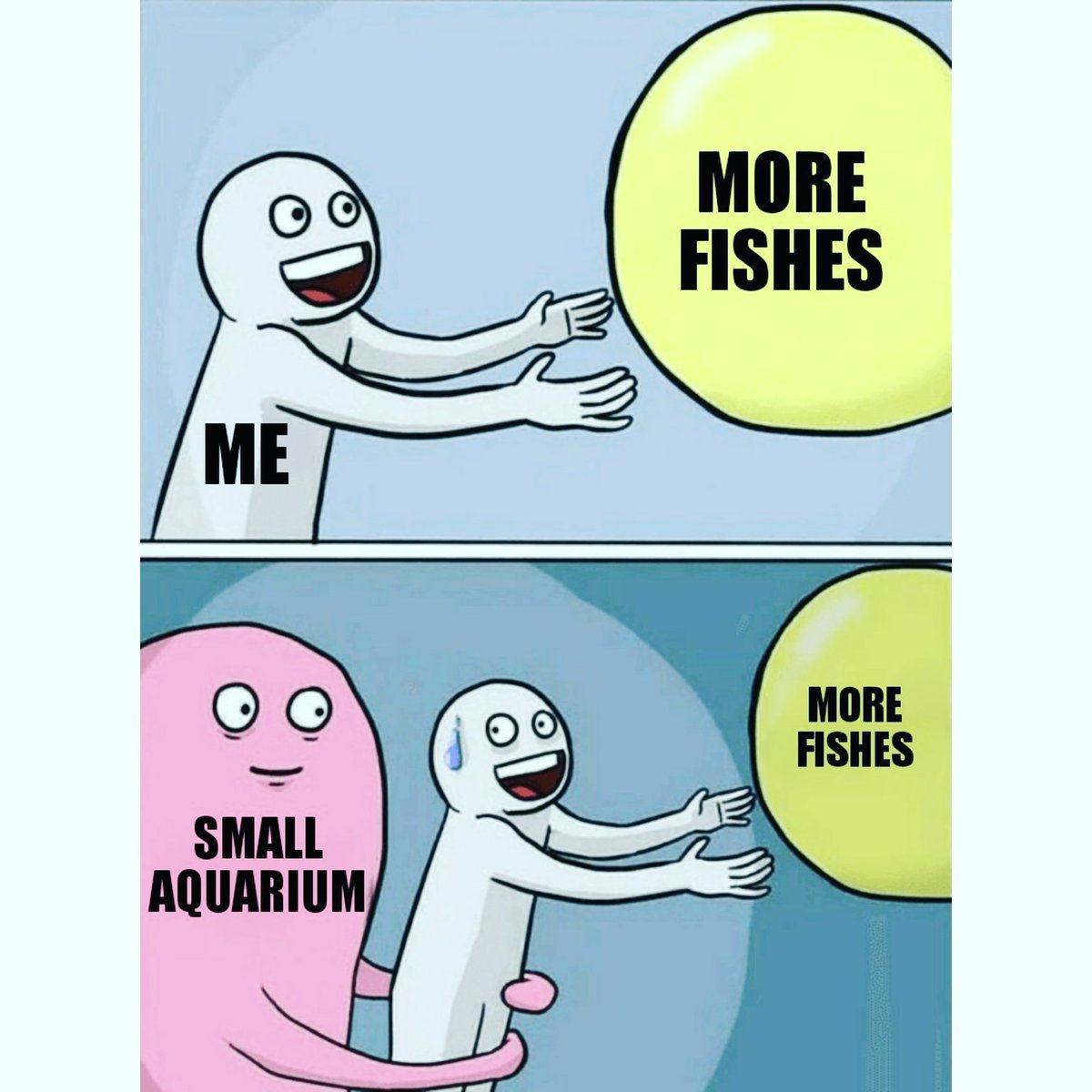 prasunmukh's tweet photo. Small tank problems
#aquarist #aquarium #fishtank #aquaholic #aquaaddict #hobby #aquariumhobby #smallaquarium #smalltankproblems #bioload #meme #fishkeeping #plantedtank #marineaquarium #aquaristforlife #aquariumfans #aquariumlife #aquariumgallery #aquariumpuns #aquariumjokes https://t.co/TOjOVPFfEp