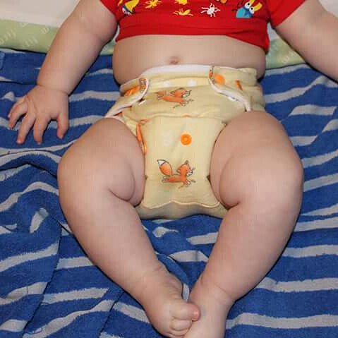 LilBeanDiapers's tweet photo. How adorable are these foxes??
#foxes #fluffbutt #clothdiapers #lilbeandiapers #nappies #babybum #woodlandcritters https://t.co/dD4QqKcM0B