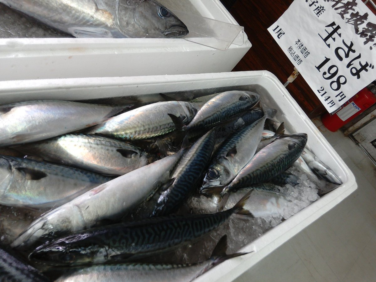 スーパーおおたや Sur Twitter 12月25日 月 クリスマスです 楽しいパーティーに 勝浦港より 本マグロ カジキマグロ キハダマグロ ビン長マグロ 金目鯛 メバル 伊勢海老 サザエ アワビ 鴨川港より ぶり 小むつ 中あじ ほうぼう 銚子港より さば