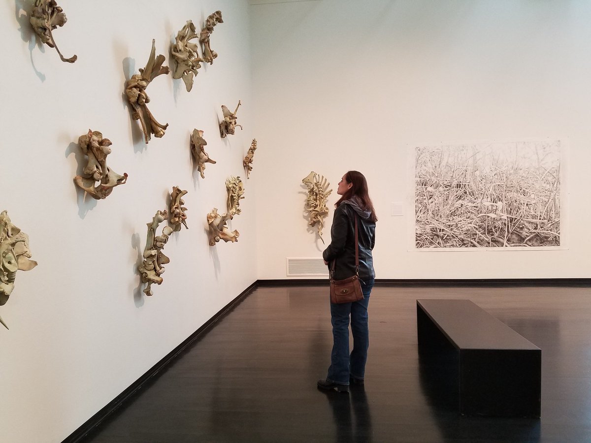 aveaw's tweet photo. North Dakota museum of art https://t.co/gthaxr9qi3