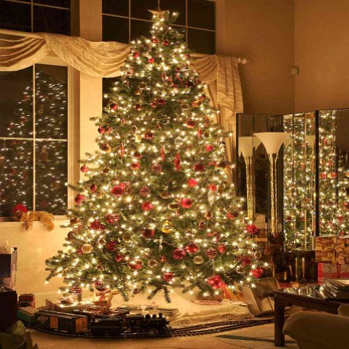 jami_roddick's tweet photo. Merry Christmas to you all. https://t.co/NLspU5SKfK
