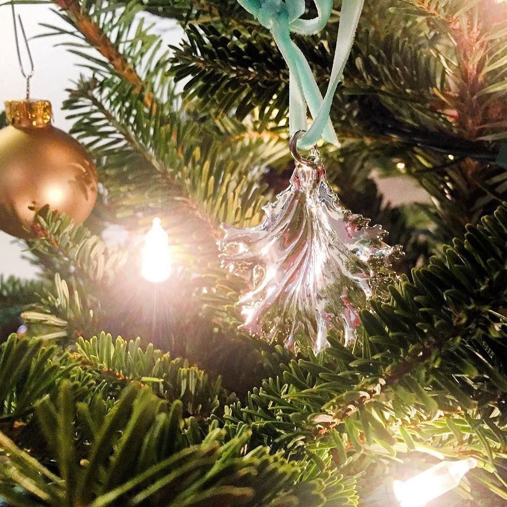 rockthatgem's tweet photo. It’s so fun to see you all opening your #rockthatgem presents! 💚 #Repost from @smart.mouthed.health
・・・
When your biz partner totally gets you... @rockthatgem #kale leaf ornament, a gift from my partner in healthy crime at @twpnyc. 🎄 Merry Christ… https://t.co/tTfQGdZkQk https://t.co/nyReGK1yFH