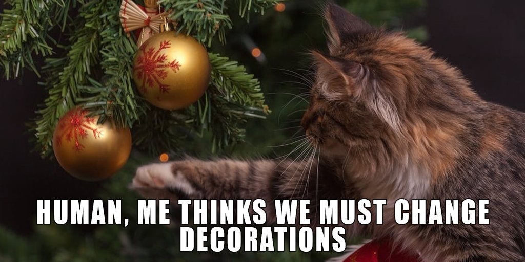 pet_symptoms's tweet photo. Get your tools ready 'cause we're pet-proofing this whole place down!
#HolidaySeason #cats #dogs #petlife #petproofing https://t.co/kZC9xLsu3R