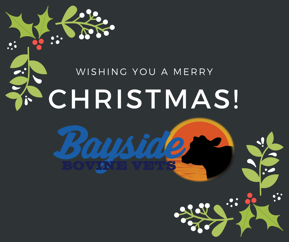 MatthewWeeman's tweet photo. #MerryChristmas to all. May your season be filled with health, friendship and the blessings of family. https://t.co/tiBwGJ7bhU