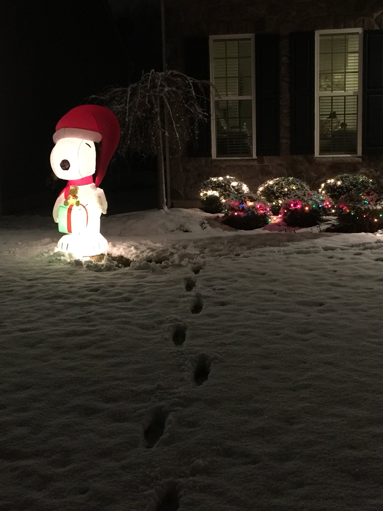  Happy Belated Birthday and sending you a Very Mery White Christmas 