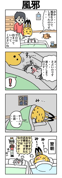 「風邪」 #けものフレンズ #すくすくフレンズ 