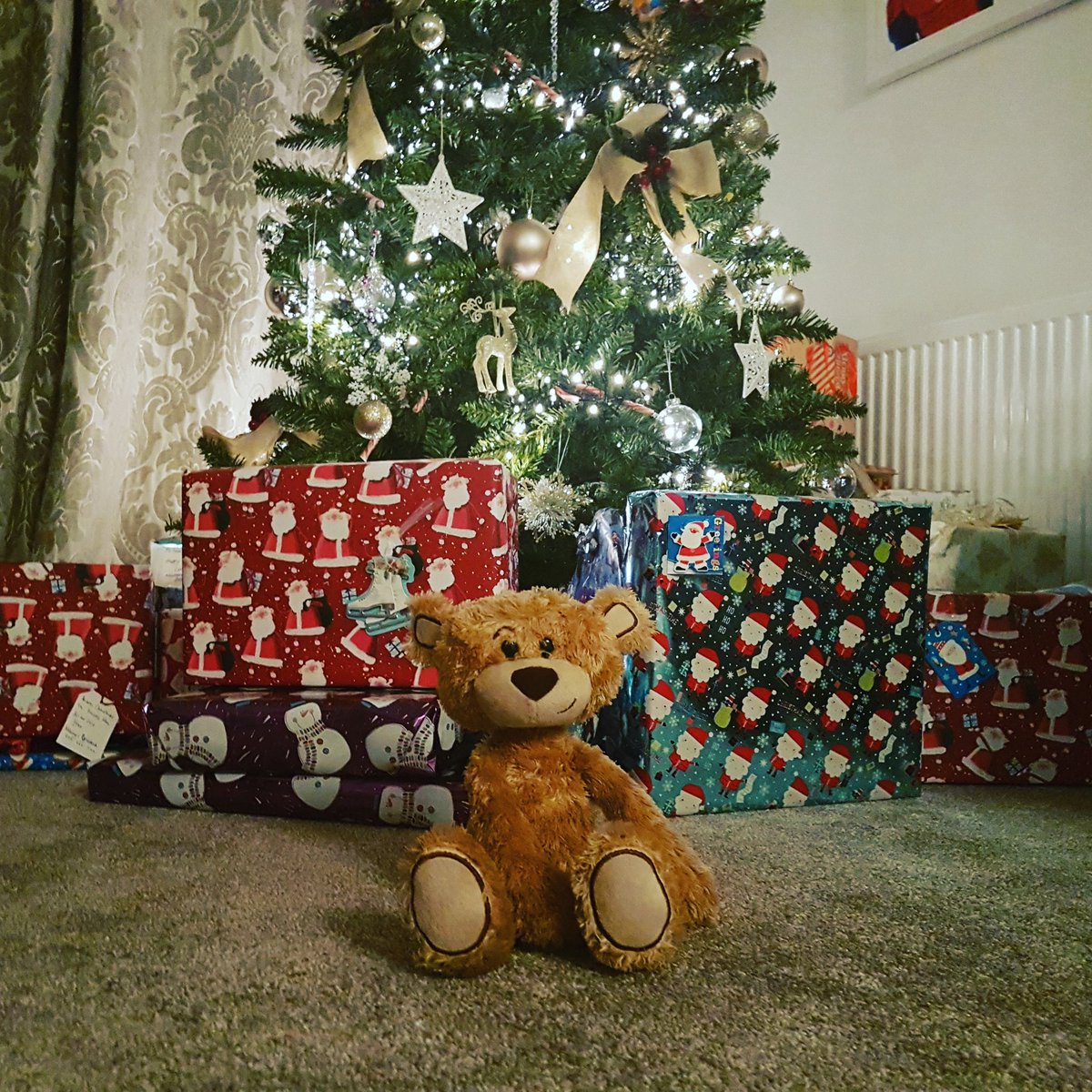 Merry Christmas from #holibobbear #magical #festive #xmasgifts #familytime #family #love #xmas2017 #share #xmasholidays #santahasbeen #nomoresleeps