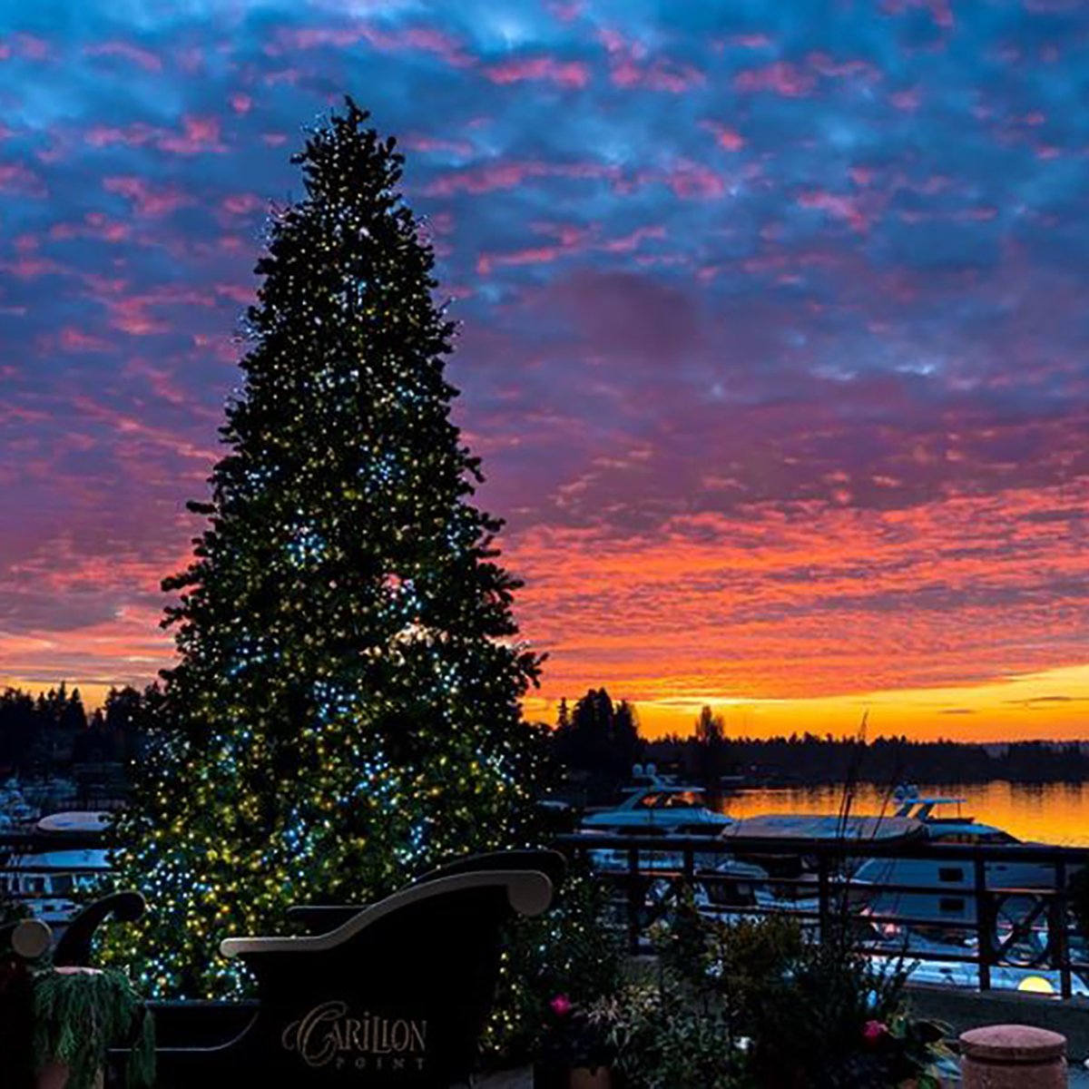 BeachCafeCP's tweet photo. Wishing you peace, love &amp; joy - #HappyHolidays from all of us here at Carillon Point! https://t.co/4Ziq30yEFu
