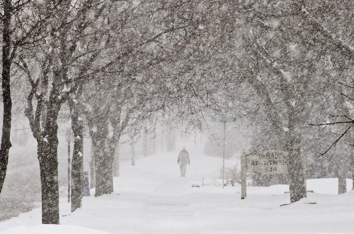 White Christmas unfolding as Toronto sits under snowfall warning cp24.to/yzNN1QB