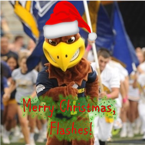 Flash the Eagle tweet media