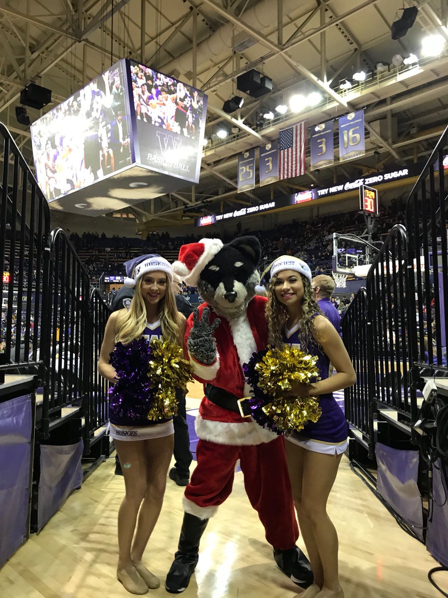 Harry The Husky tweet media
