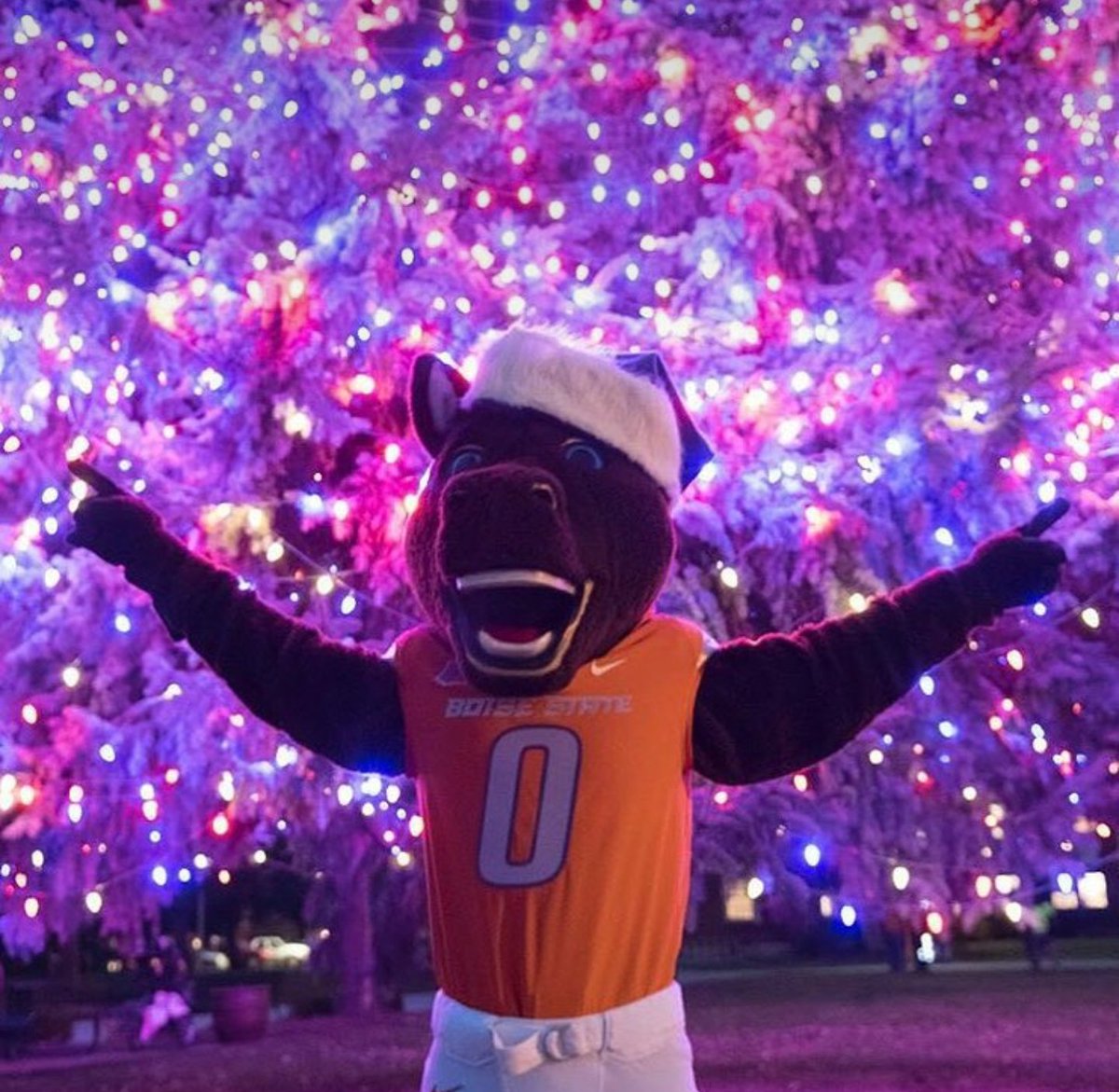 Buster Bronco tweet media