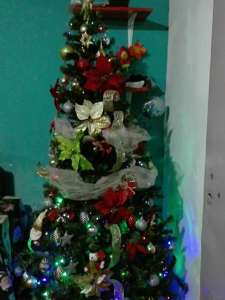 troperdxbtto's tweet image. Cn todos los poderes y feliz navidad   @Salvadorvas1 @Scan961  #elpoderlatino son los deseos de la familia amaya rodrigues