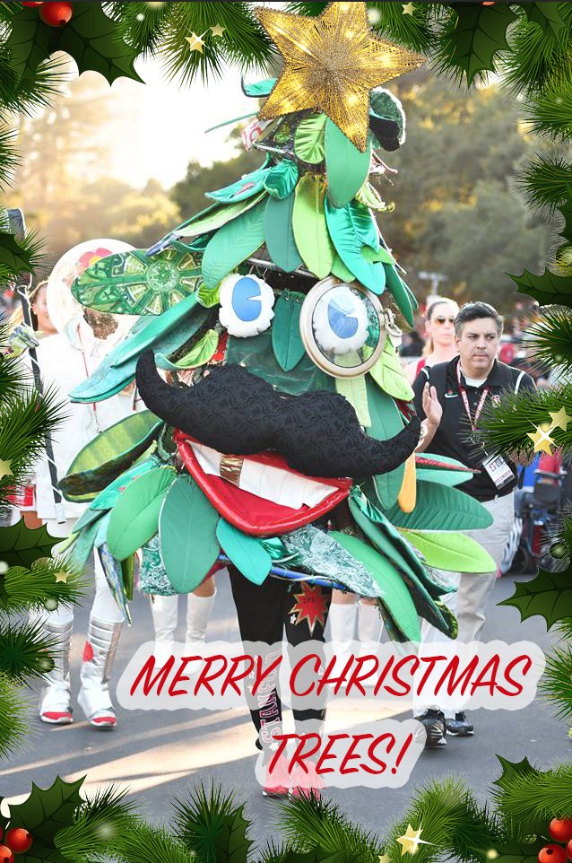 Stanford Tree 🌲 tweet media