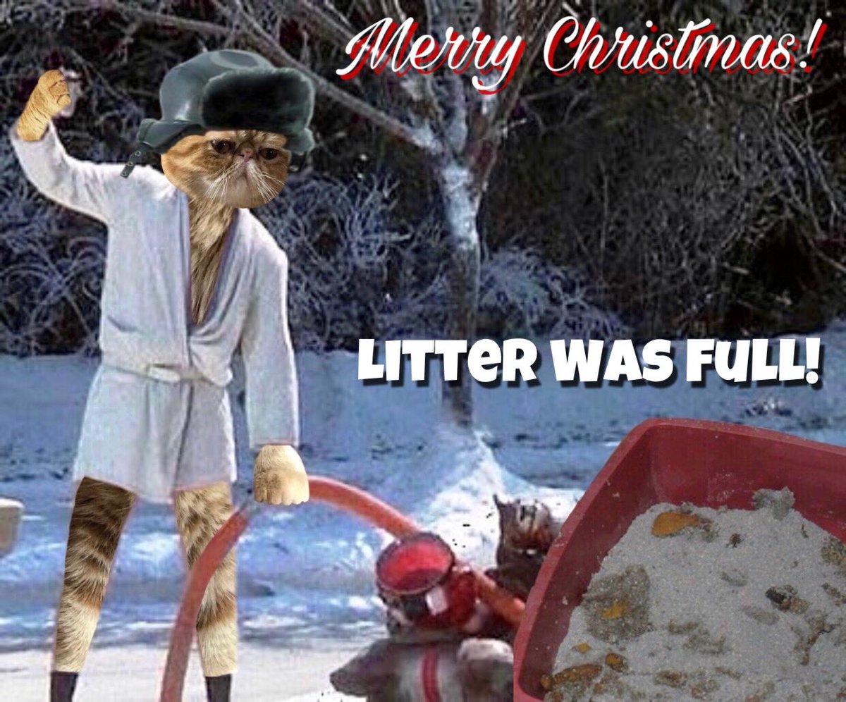 Ginger_BeardDad's tweet photo. Merry Christmas! Litter was full!!🎄💩 #nationallampoonschristmasvacation #merrychristmas #littersfull @catsofinstagram #CatsOfTwitter #catsofinstagram https://t.co/7RaYSF2SGs