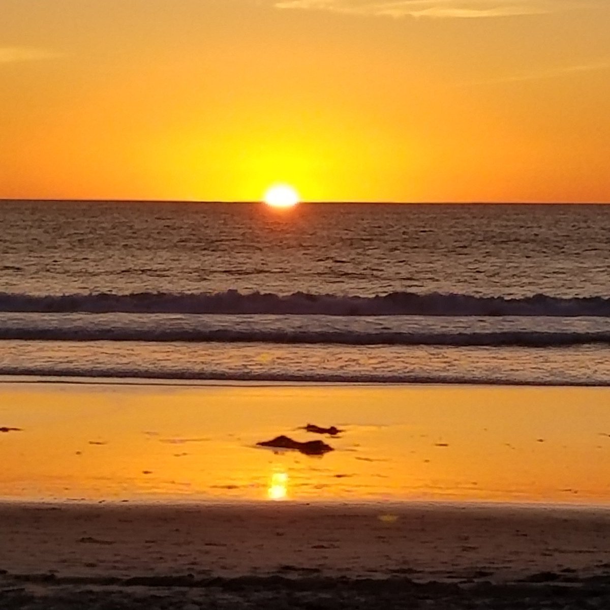 hoboannie's tweet photo. @triciajobrien ...and in SoCal...it isn't! Merry Christmas, Pat! Hope your holidays are merry and bright. https://t.co/pPV8WdJj27