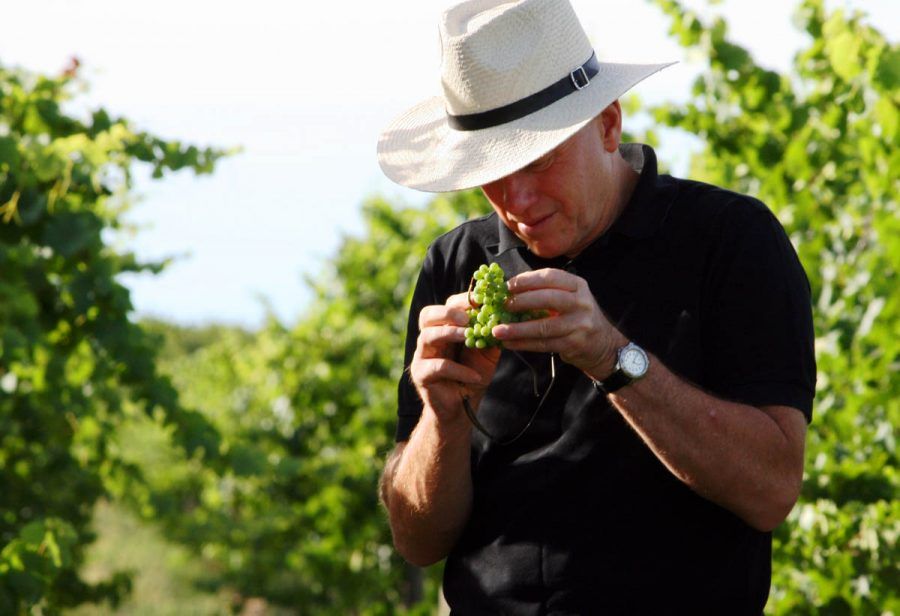 Toni Paterson (@tpatersonwine) on Twitter photo #Wine As 2017 draws to a close, it is time to reflect on some of the top wines I have tasted over the year. <a href="/therealrvw/">The Real Review</a> Cc <a href="/GrossetWines/">Grosset Wines</a> <a href="/xanaduwine/">Xanadu Wines</a> <a href="/yeringstn/">Yering Station</a> <a href="/Brokenwood/">BROKENWOOD WINES</a> <a href="/WinesByFarr/">Wines By Farr</a> <a href="/YarraYering/">Yarra Yering</a> <a href="/BurchWines/">Burch Family Wines</a> buff.ly/2l5SwfD #Wine As 2017 draws to a close, it is time to reflect on some of the top wines I have tasted over the year. <a href="/therealrvw/">The Real Review</a> Cc <a href="/GrossetWines/">Grosset Wines</a> <a href="/xanaduwine/">Xanadu Wines</a> <a href="/yeringstn/">Yering Station</a> <a href="/Brokenwood/">BROKENWOOD WINES</a> <a href="/WinesByFarr/">Wines By Farr</a> <a href="/YarraYering/">Yarra Yering</a> <a href="/BurchWines/">Burch Family Wines</a> buff.ly/2l5SwfD