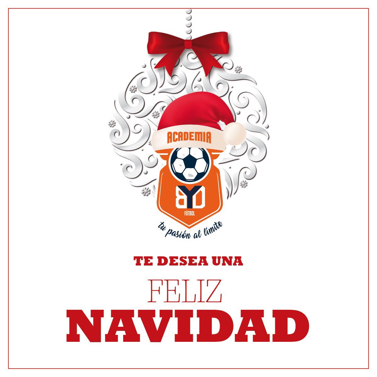 bydfutbol's tweet photo. De parte de BYD les deseamos una feliz navidad y muchas bendiciones en cada uno de sus hogares. 🎄⚽️ https://t.co/Qeo6zlfwne