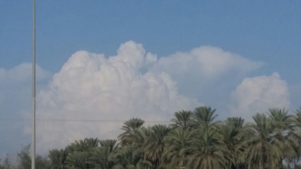سـتـبـقـي عـبـقـريـٱ حـتـي تـقـع فـي الـحـب؛​
​فـتـتـحـول تـلـقـائـيـٱ الـي كـتـلـة غـبـاء تـمـشـي فـوق الارض