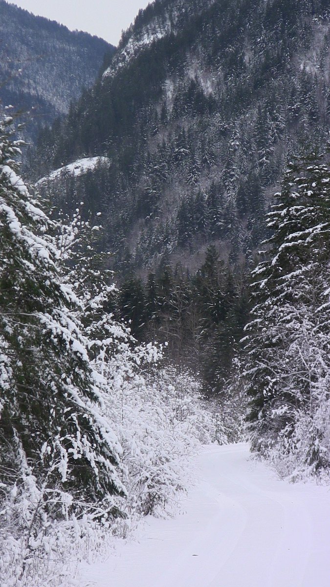 #Winterscenes from  #KarenCreek on #ChristmasEve near #dewdneycreek #transcanadatrail and #kettlevalleyrailroad #KVR #HopeBC