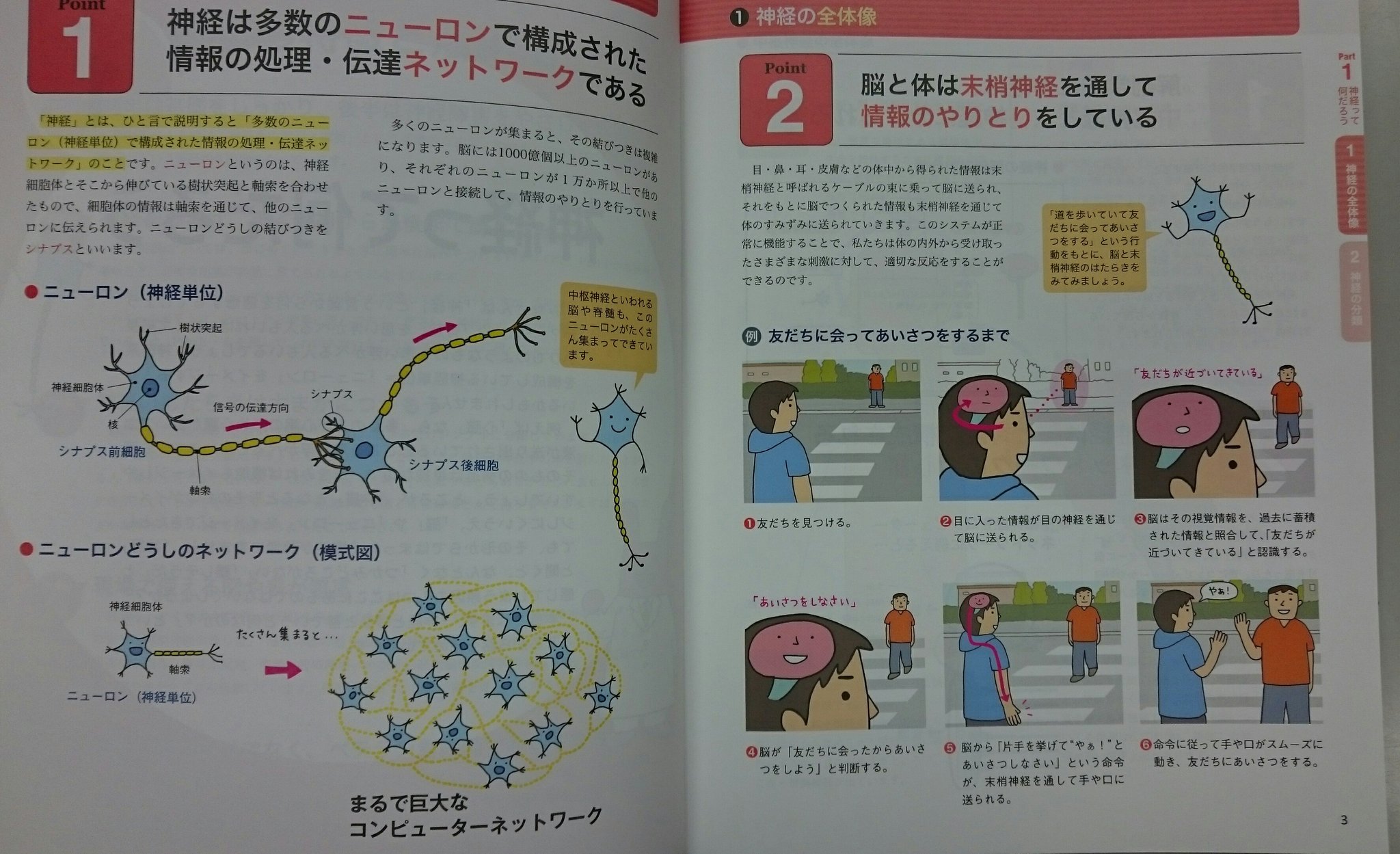 Amazon.co.jp: まるごと図解 ケアにつながる脳の見かた : 波多野