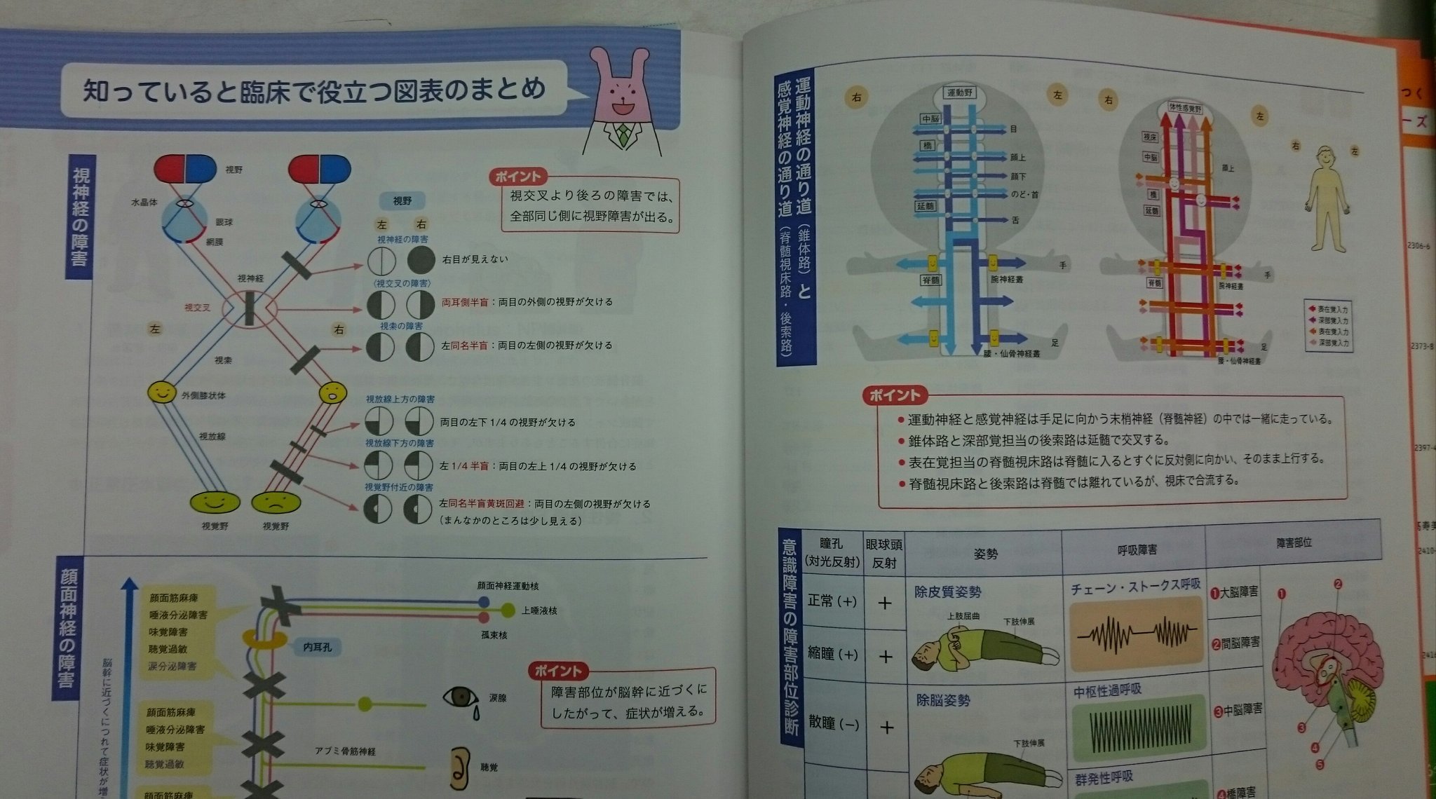 【本物保証】 照林社 営業部 on X:  試験用品・消耗品