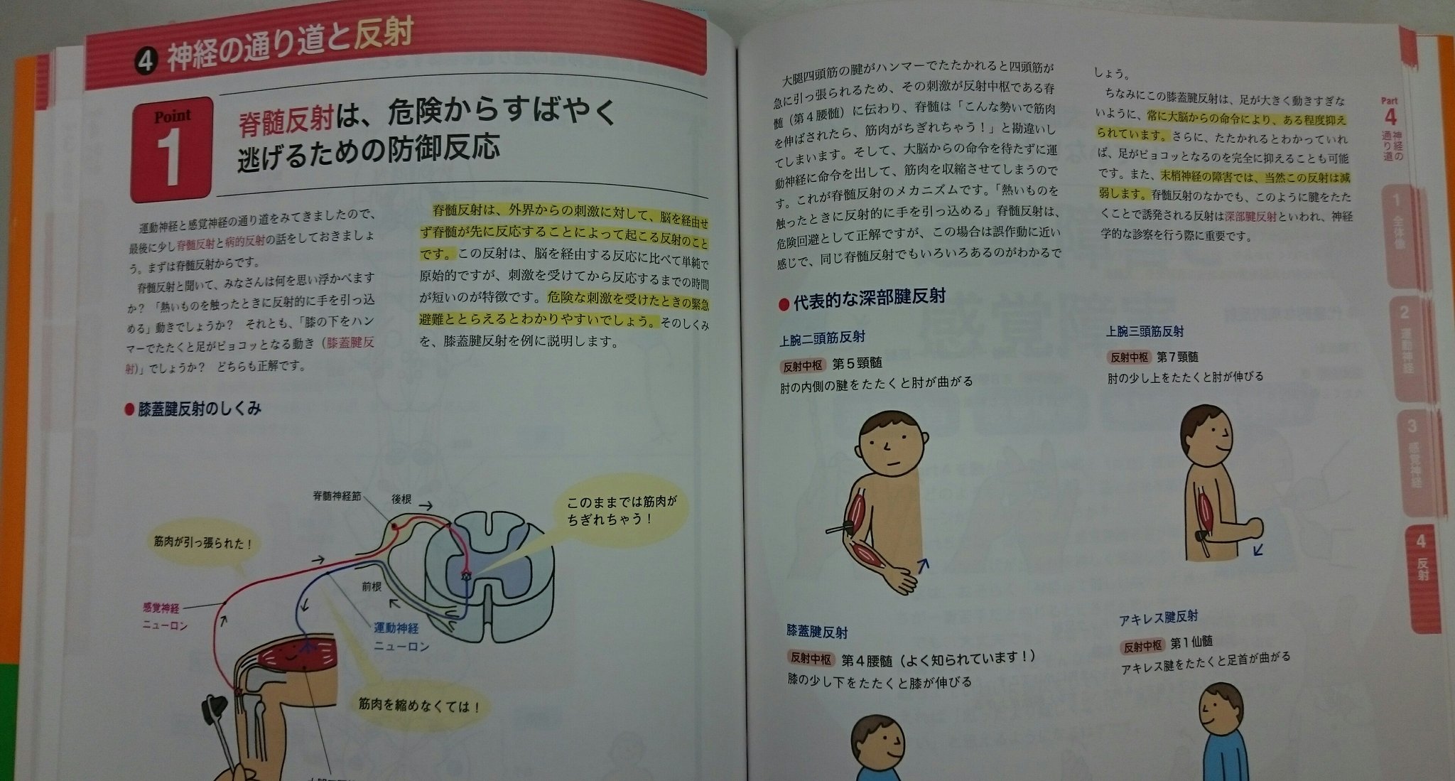 照林社 営業部 on X: 