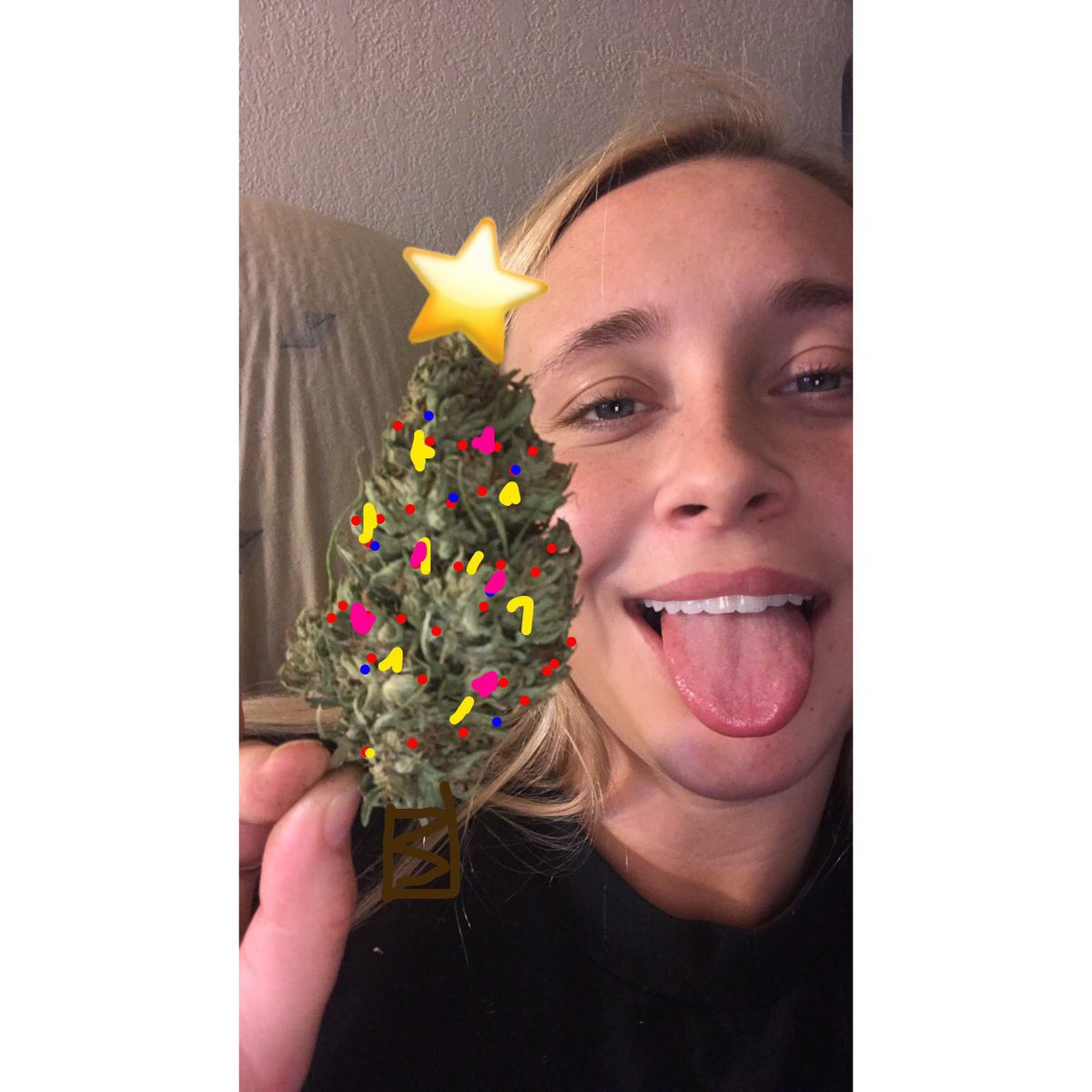 ZNDRSHRT's tweet photo. Have a holly jolly weedmas https://t.co/l8VhCJU2Vd