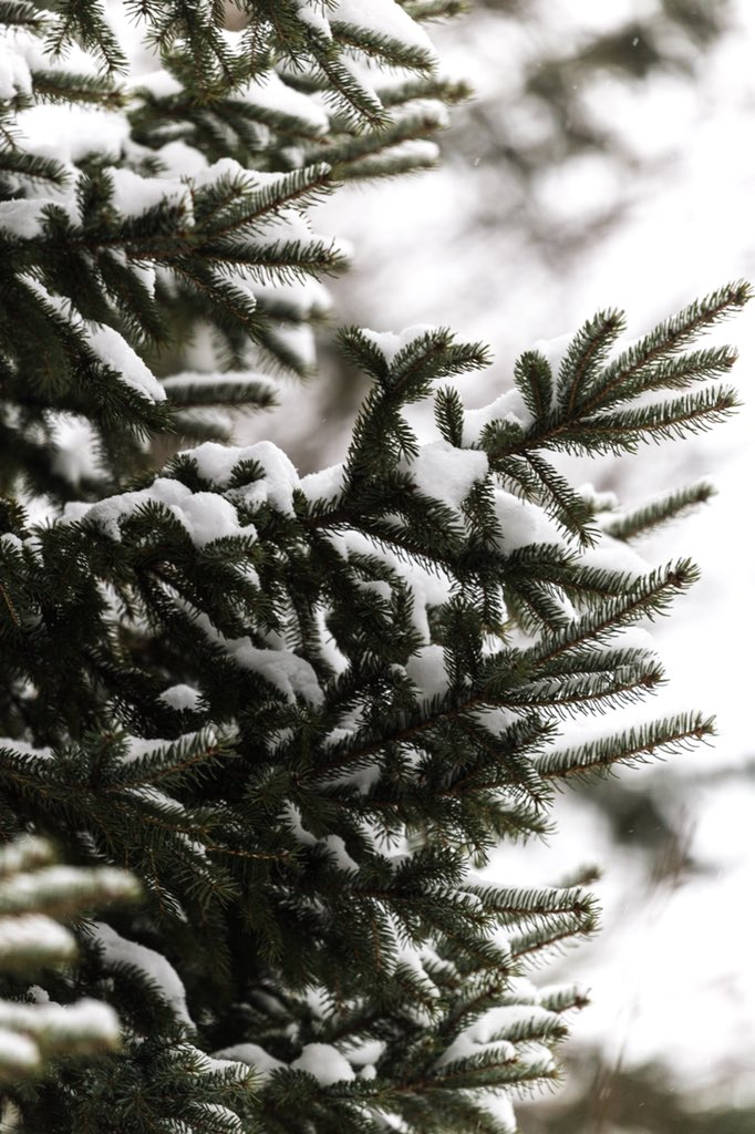 Merry Christmas and Happy Holidays, CARAG! #MerryChristmas #Christmas #HappyHolidays #Community #MPLS