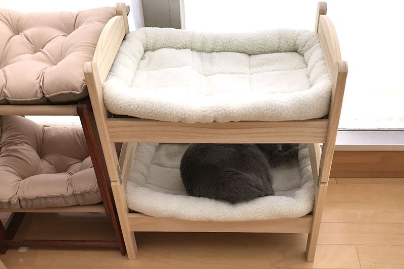 ぼくらの自由研究室 בטוויטר Ikeaの人形用ベッドを猫用2段ベッドにしました となると 次に見たいの仲良しツーショット昼寝猫となるわけです T Co Wrhanrsack 猫 ねこ 猫写真 Ikea 人形用ベッド 猫好きさんと繋がりたい T Co 8oxzcms7