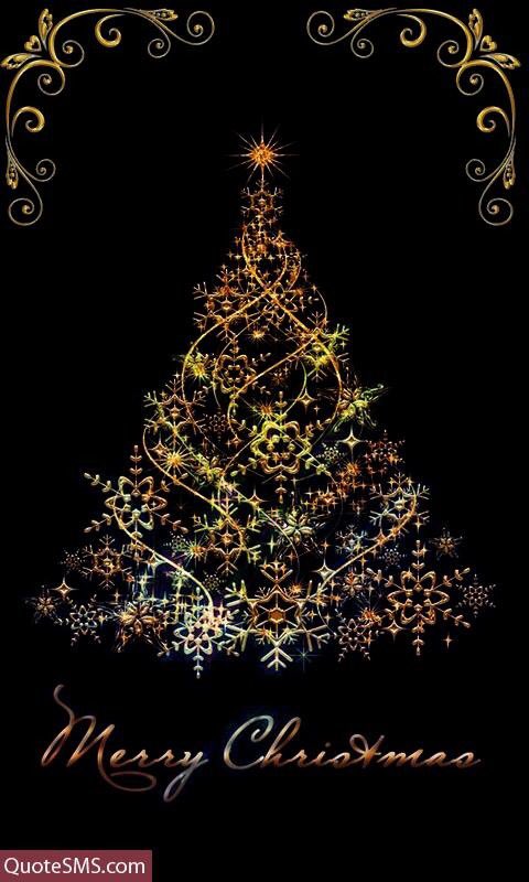 Rhonda McFadden tweet media