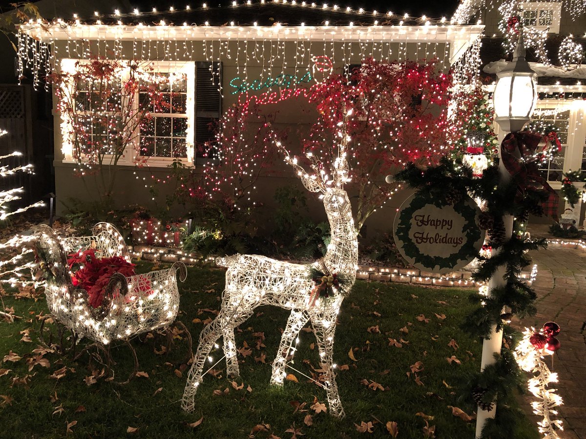 San Carlos Christmas Lights Photos Cantik