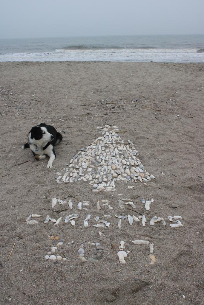 juliadr76's tweet photo. Merry Christmas! #southcarolina #edislow #edistobeachstatepark https://t.co/PRBpPfBh1y