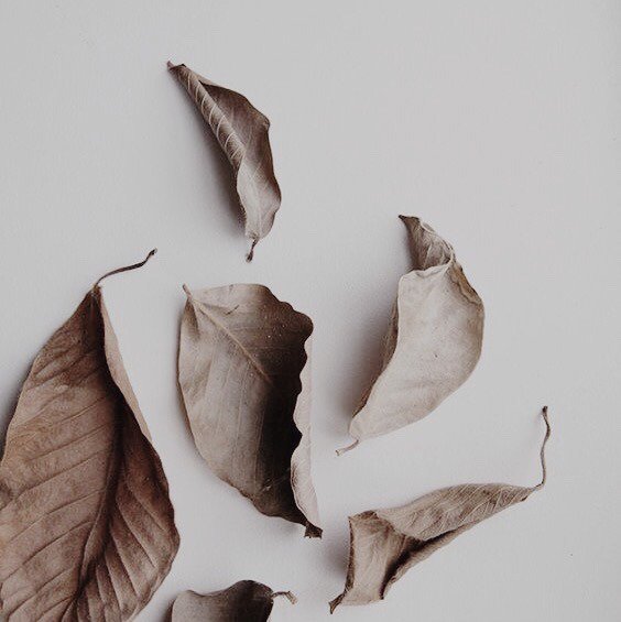 〔❁〕Dᴀᴛᴏs sᴏʙʀᴇ ᴇʟ ᴘᴇʀsᴏɴᴀᴊᴇ