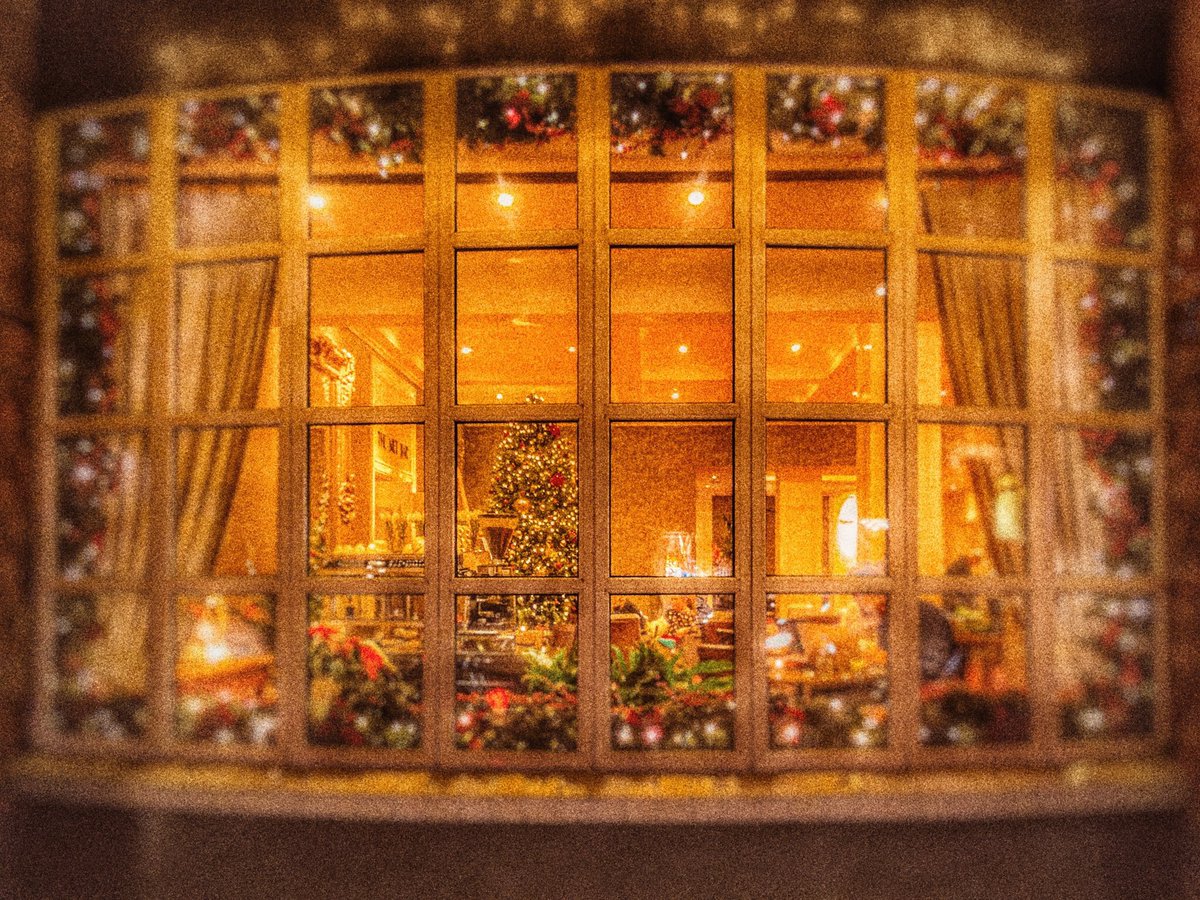 MetropoleCork's tweet photo. Thanks @ntwamley for the lovely image of our @MetropoleCork front window last night #met120 Happy Christmas to one &amp; all! https://t.co/f4KslPcdX7