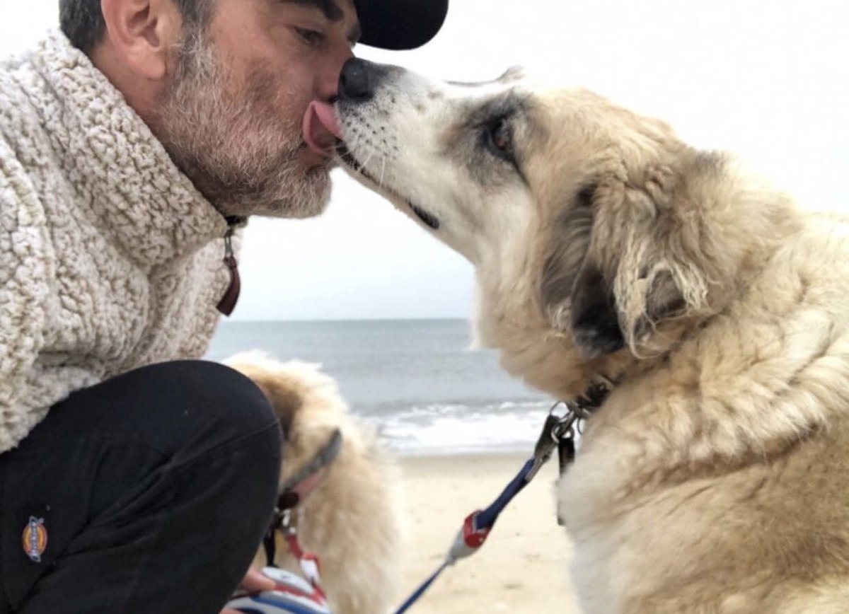 Merry Christmas 🎁🎄