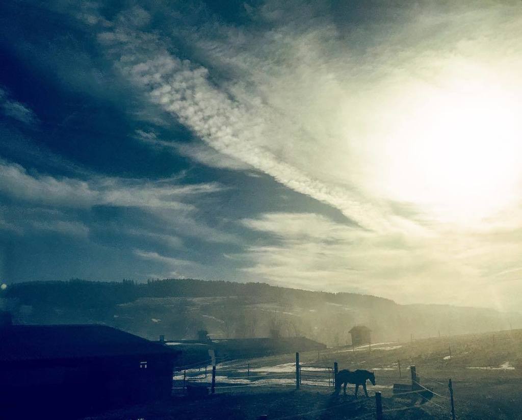 laurentbleuze's tweet photo. #christmas #picture from #switzerland. On the #way! #Entrainde...
.
.
.
.
.
#instashot #instaplace #noel #country #swiss #pictureoftheday #ontheway #traveling #sunshine #skyporn 📸@LaurentBleuze https://t.co/ijE4NgUaY6 https://t.co/MqvhrINo70