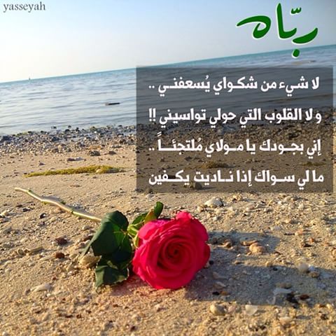 mamahanydawah30 tweet picture